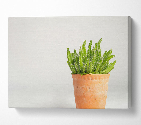 Terracotta Green Cactus