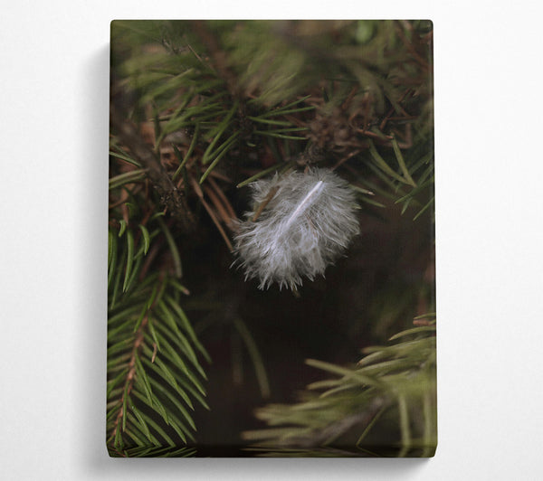 White Feather In Green