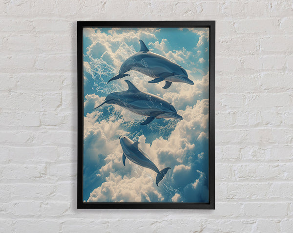 Dolphins In The Sky