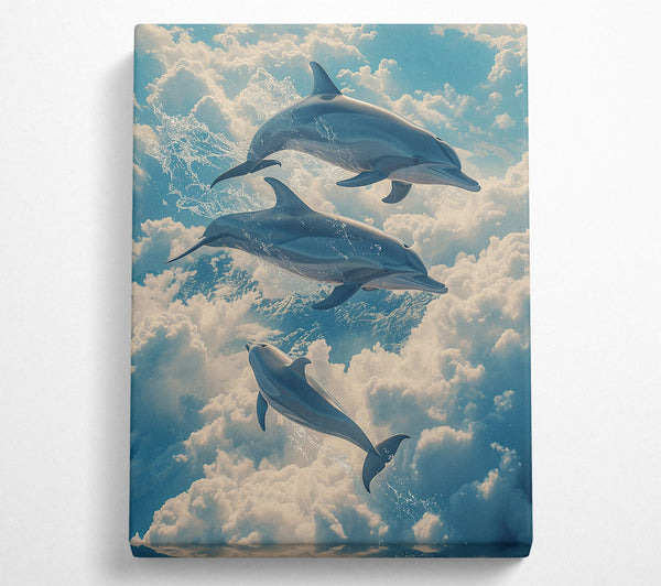 Dolphins In The Sky