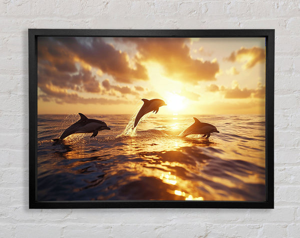 Dolphins Jumping Out The Sea