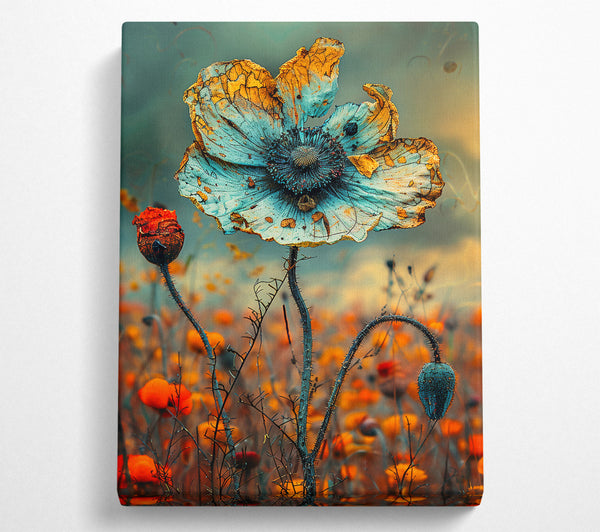 Faded Teal Poppy Field