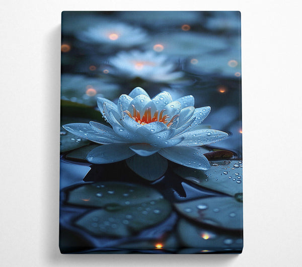 Azure Water Lily Bloom