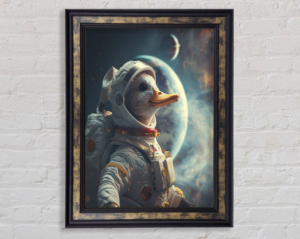 Duck In Space