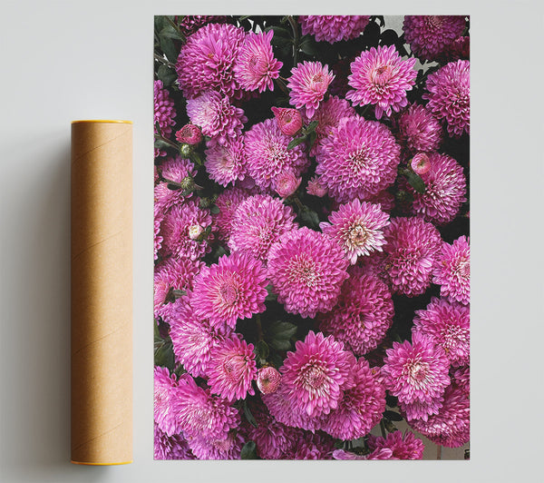 Pink Chrysanthemum Bouquet