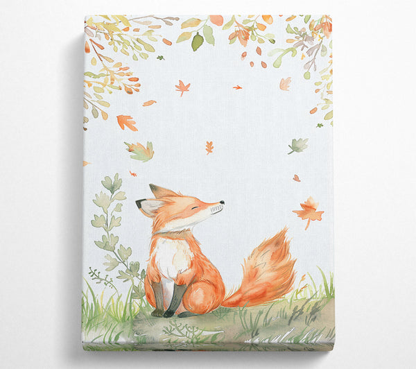 Orange Fox In Fall