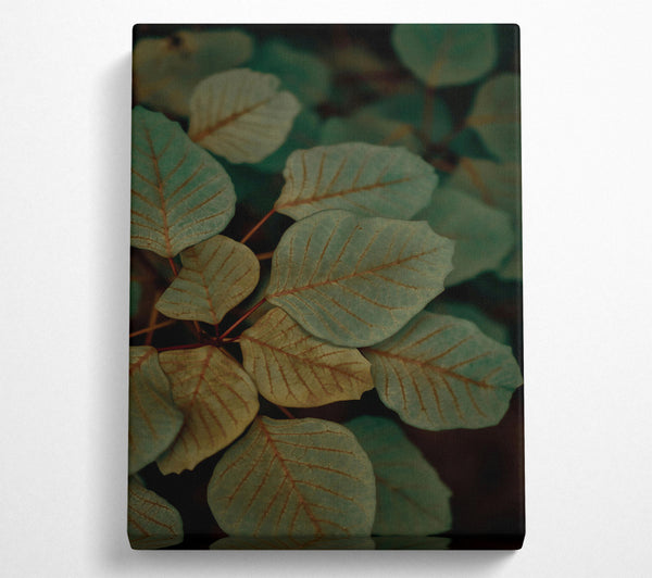 Teal Veined Leaves