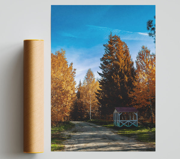 Golden Autumn Pathway