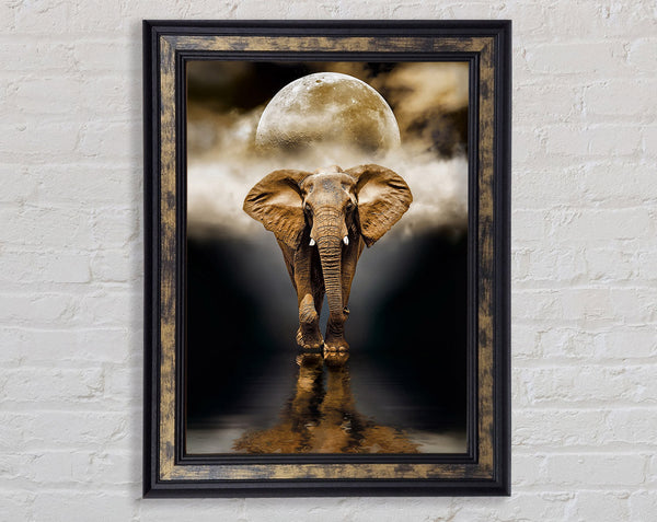 Elephant Moon