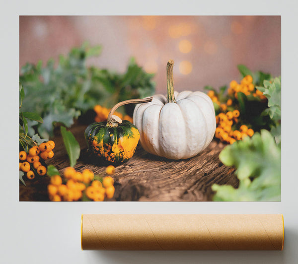 White Pumpkin Still Life