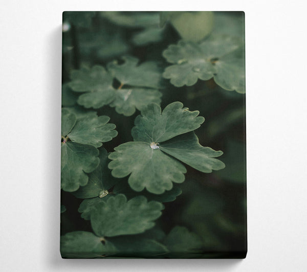 Emerald Dewdrop Leaves