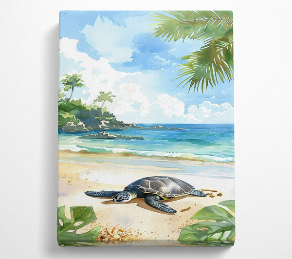 Blue Turtle Shore