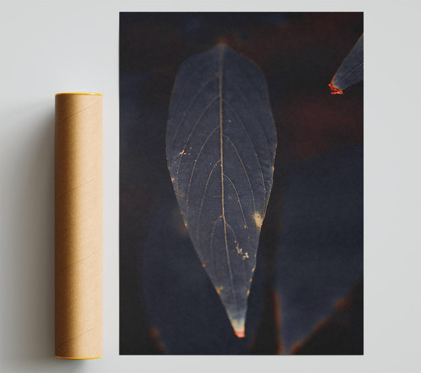 Indigo Leaf Silhouette