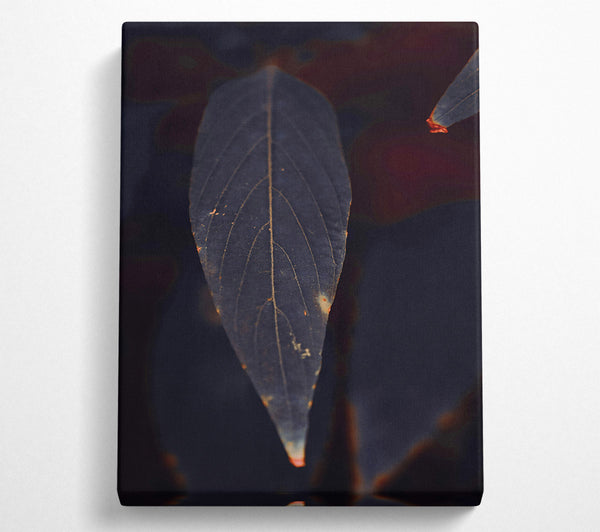 Indigo Leaf Silhouette