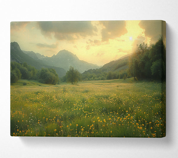 Golden Mountain Meadow