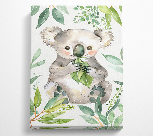 Green Eucalyptus Koala