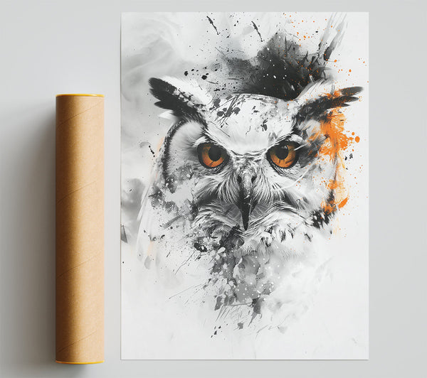 Orange Owl'S Gaze