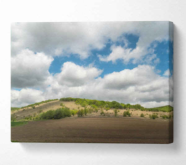 Brown Field Cloudscape