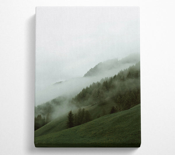 Green Foggy Hills