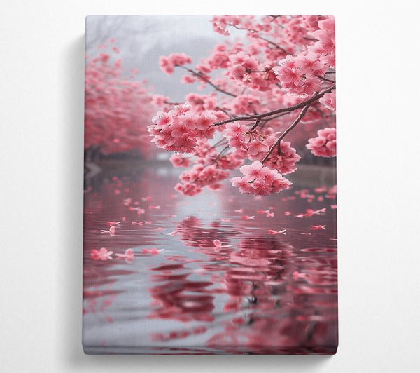 Pink Blossoms Reflecting