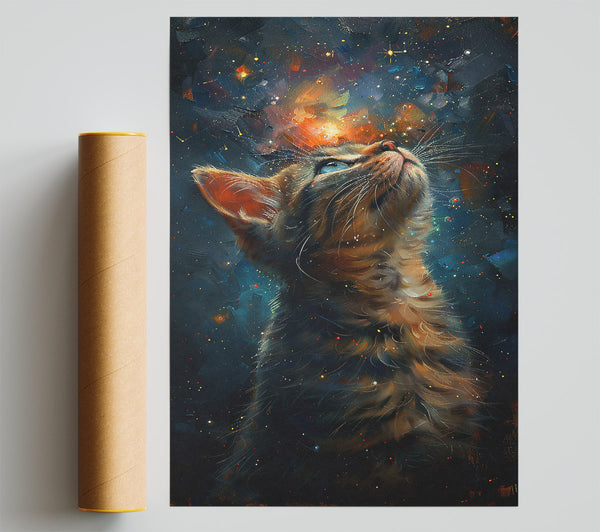 Orange Cosmic Cat