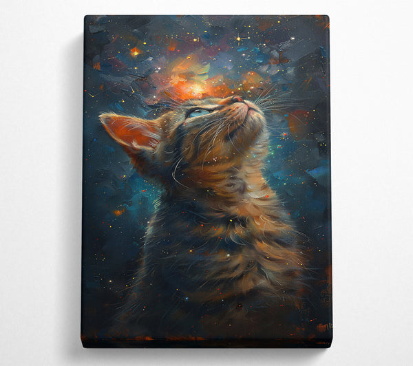 Orange Cosmic Cat