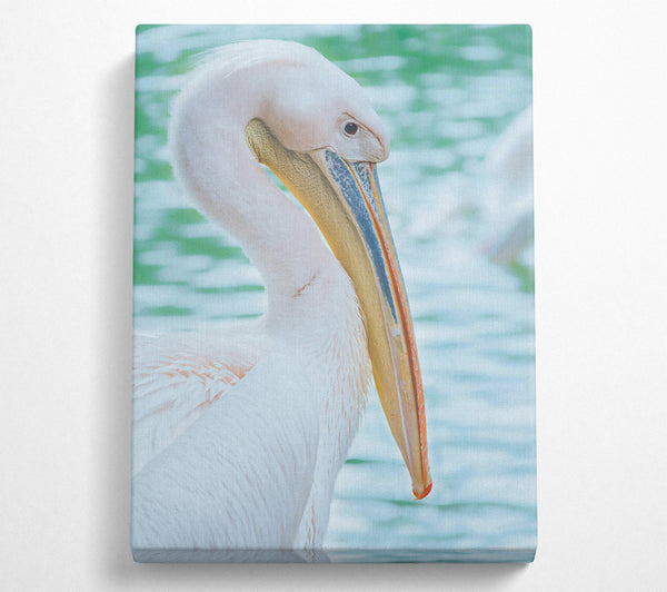 White Pelican'S Rest