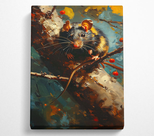 Black Rat On Branch