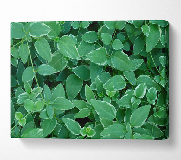 Emerald Leaf Mosaic