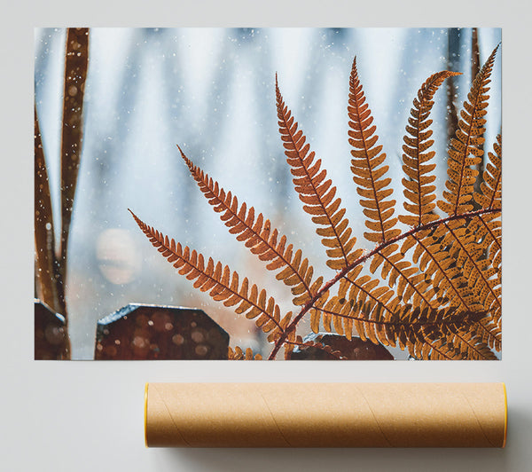 Golden Fern In Snow