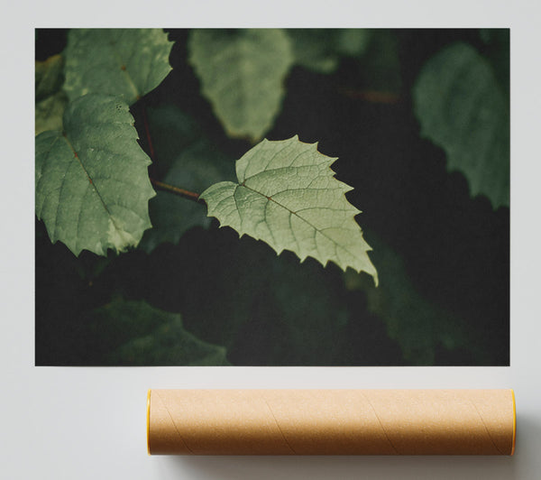 Emerald Leaf Silhouette