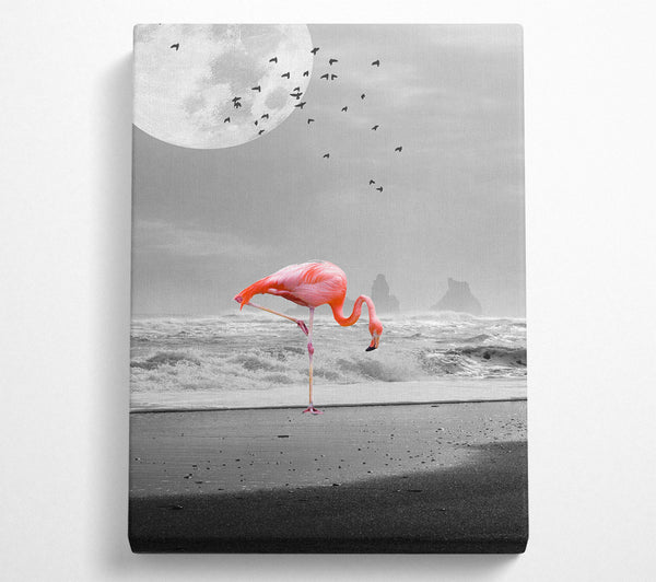 Flamingo Night Moon