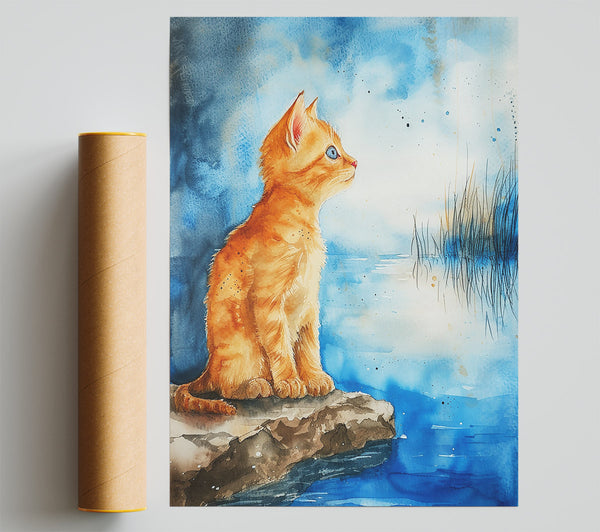 Orange Cat By The Water