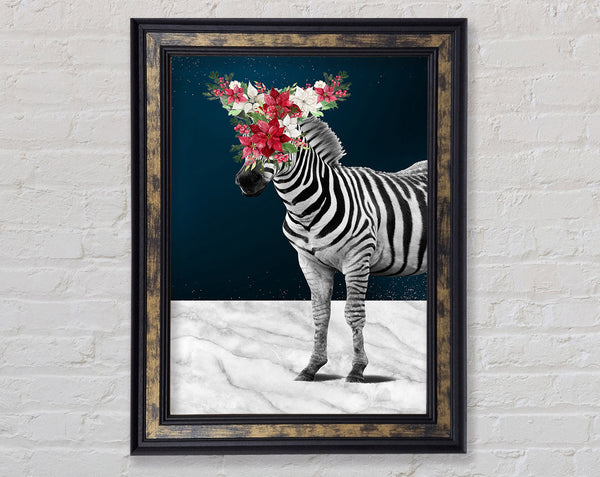 Flower Head Zebra