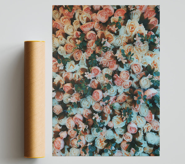 Peach And White Floral Wall