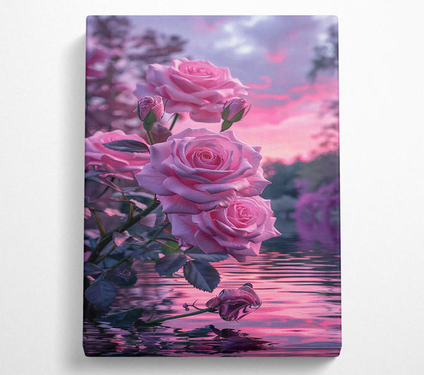 Pink Roses Reflecting