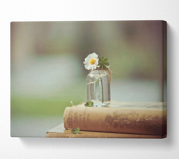 Pale Flower On Books