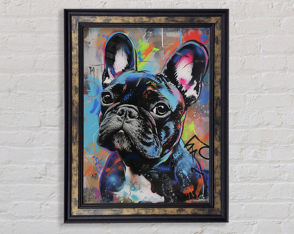 French Bulldog