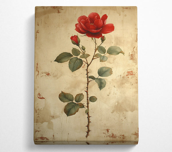 Crimson Rose On Canvas