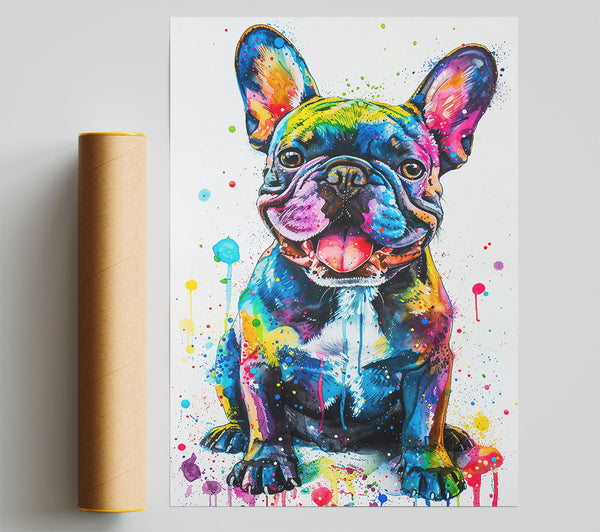 Blue Frenchie Splash