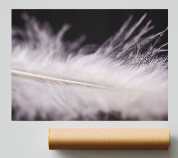 White Feather Lightness