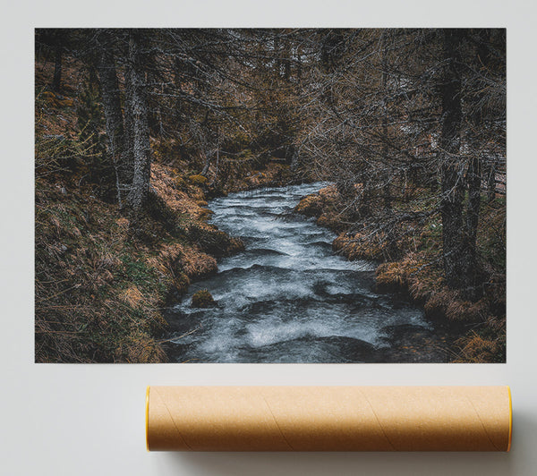 Blue Stream Through Woods