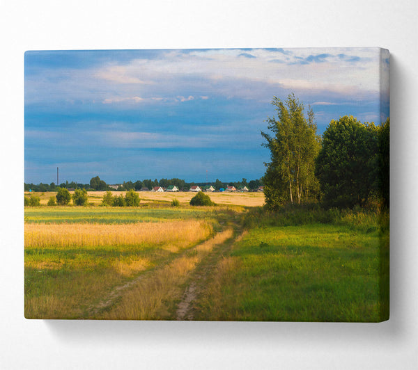 Golden Field Pathway