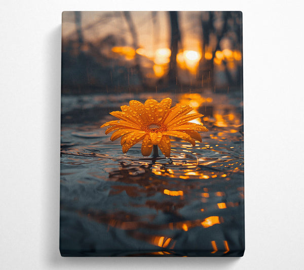 Orange Bloom In Rain