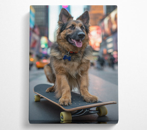 German Shepherd On A Skateboard