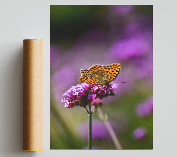 Purple Bloom Butterfly