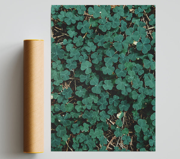 Emerald Clover Carpet