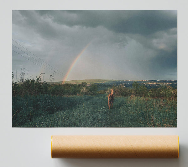 Green Field Rainbow Walk