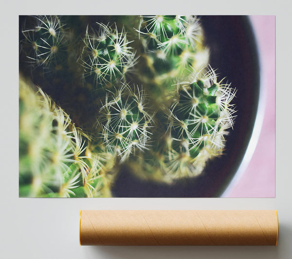 Green Cactus Prickles