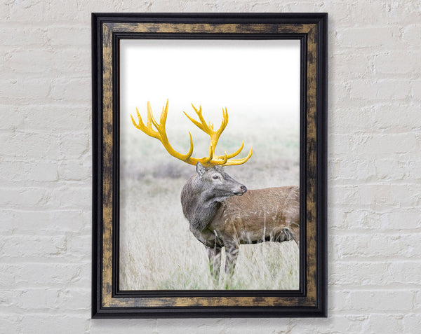 Gold Antler Deer